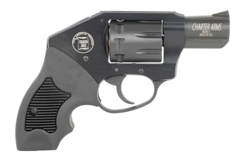 Charter Arms 12221 Walker 22 LR 8 Shot 2"